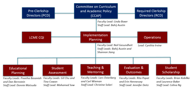 Implementation Committees 